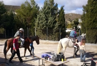 equinoterapia